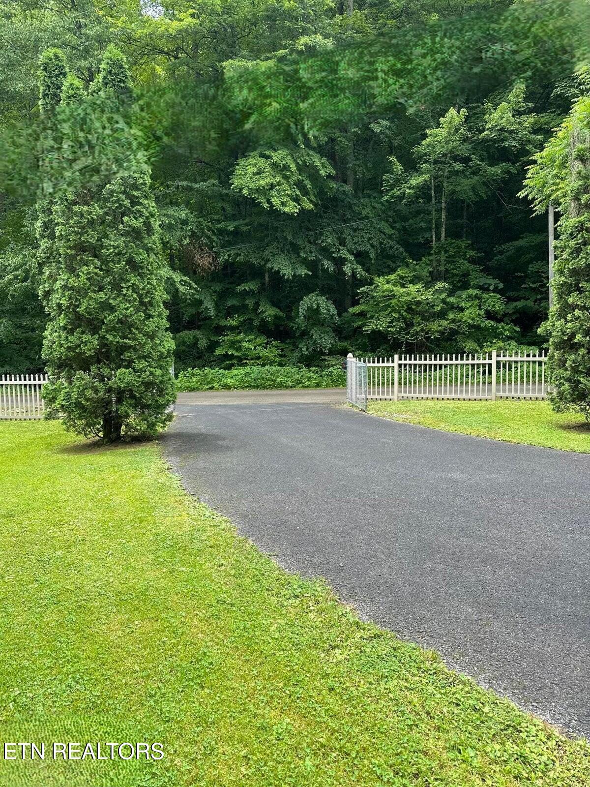 239 Sulphur Springs Road Cranks, KY 40820 - Photo 4 of 23 driveway2026