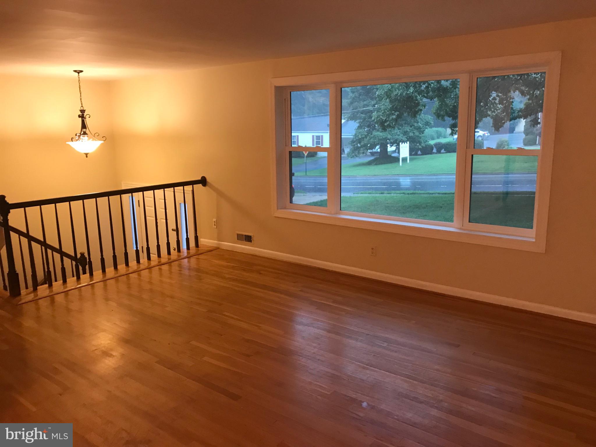 113 Kingsley Road Southwest Vienna, VA 22180 - Photo 3 of 40 Spacious living area with natural light.