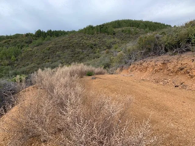 a view of a dry field with mountains in the background
