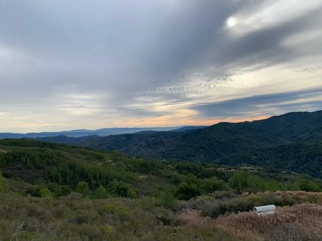 a view of mountain and tree