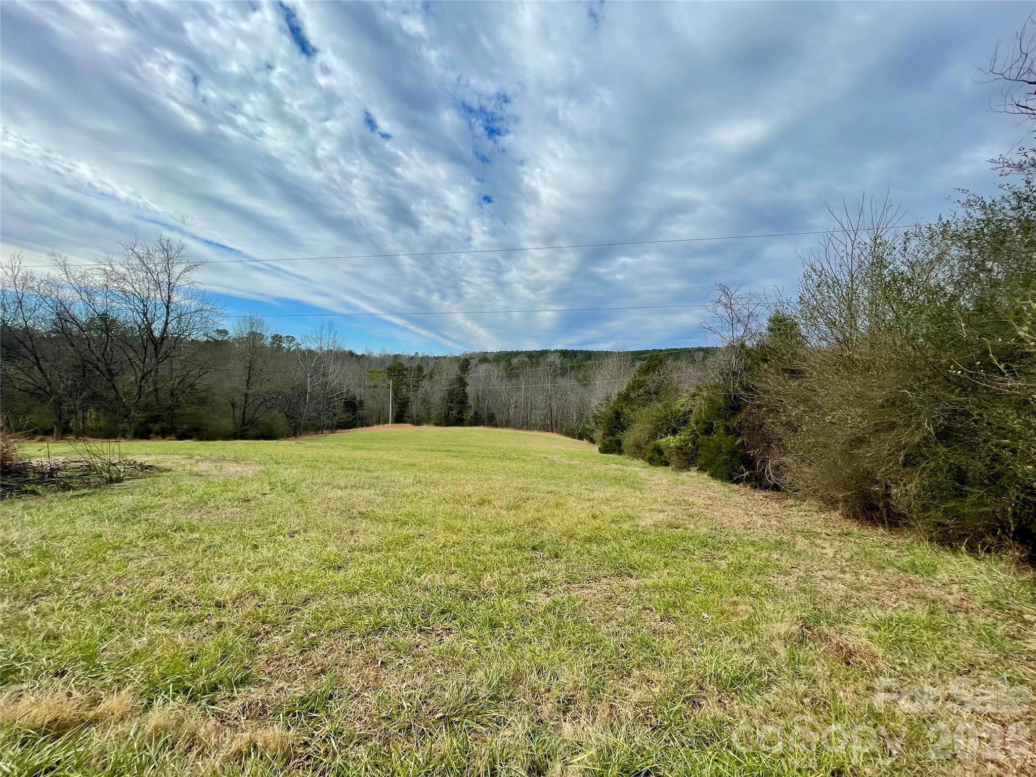 20809 Biles Road Albemarle, NC 28001 - Photo 38 of 39 a view of a yard