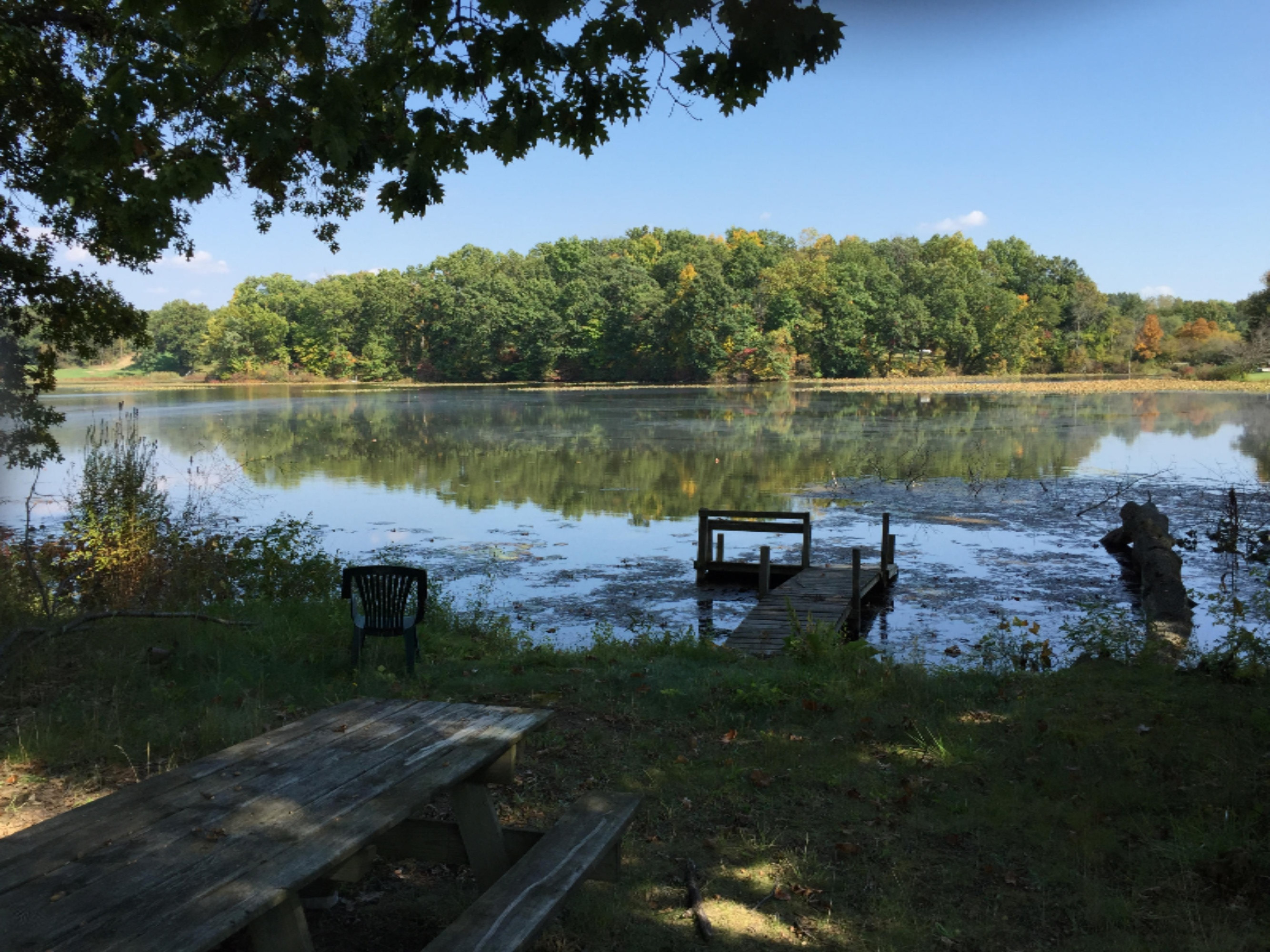 26036 Randall Road Dowagiac, MI 49047 - Photo 3 of 18 October 2014 - Meachum 003