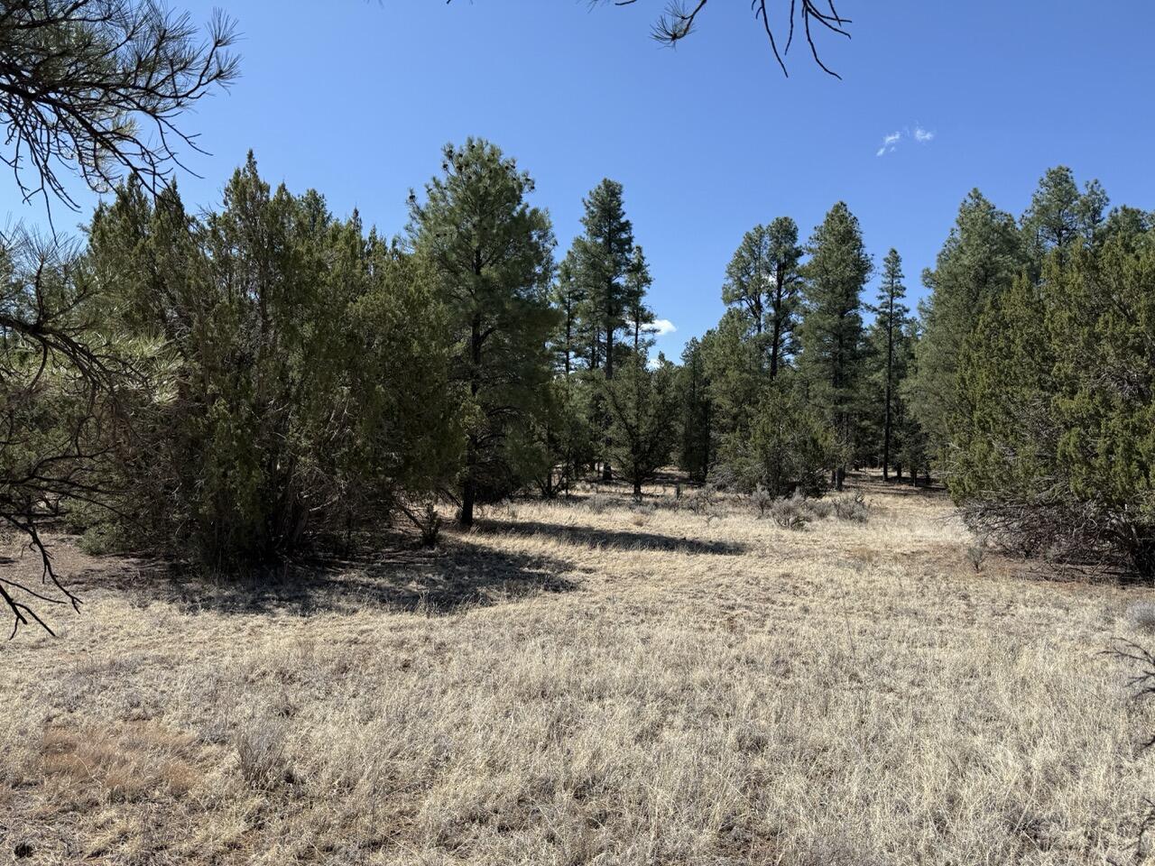 823 Timberlake Road Ramah, NM 87321 - Photo 39 of 47 Gallery Image 39