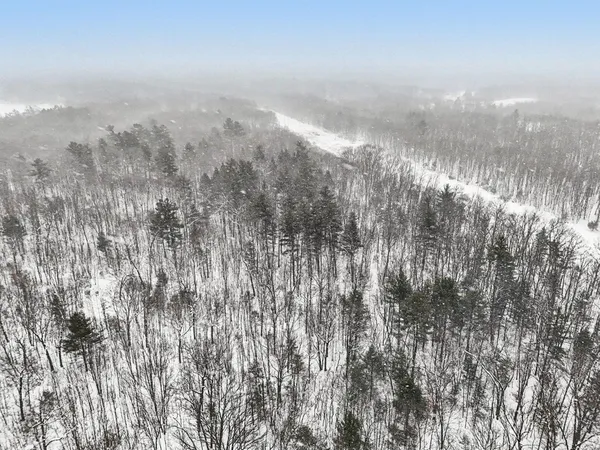 $299,000 | Nadeau Drive, Pullman, MI 49450