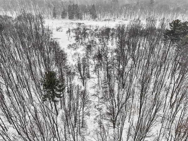 $299,000 | Nadeau Drive, Pullman, MI 49450