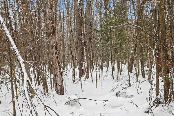 $299,000 | Nadeau Drive, Pullman, MI 49450