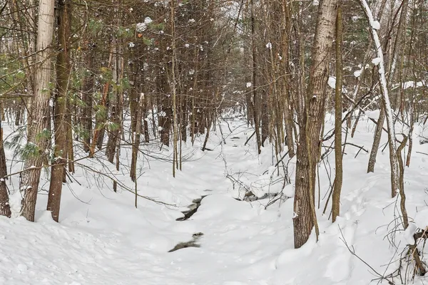 $299,000 | Nadeau Drive, Pullman, MI 49450