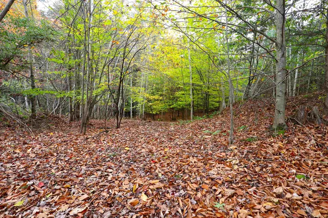 $248,000 | 0 Christian Street, White River Junction, VT 05001