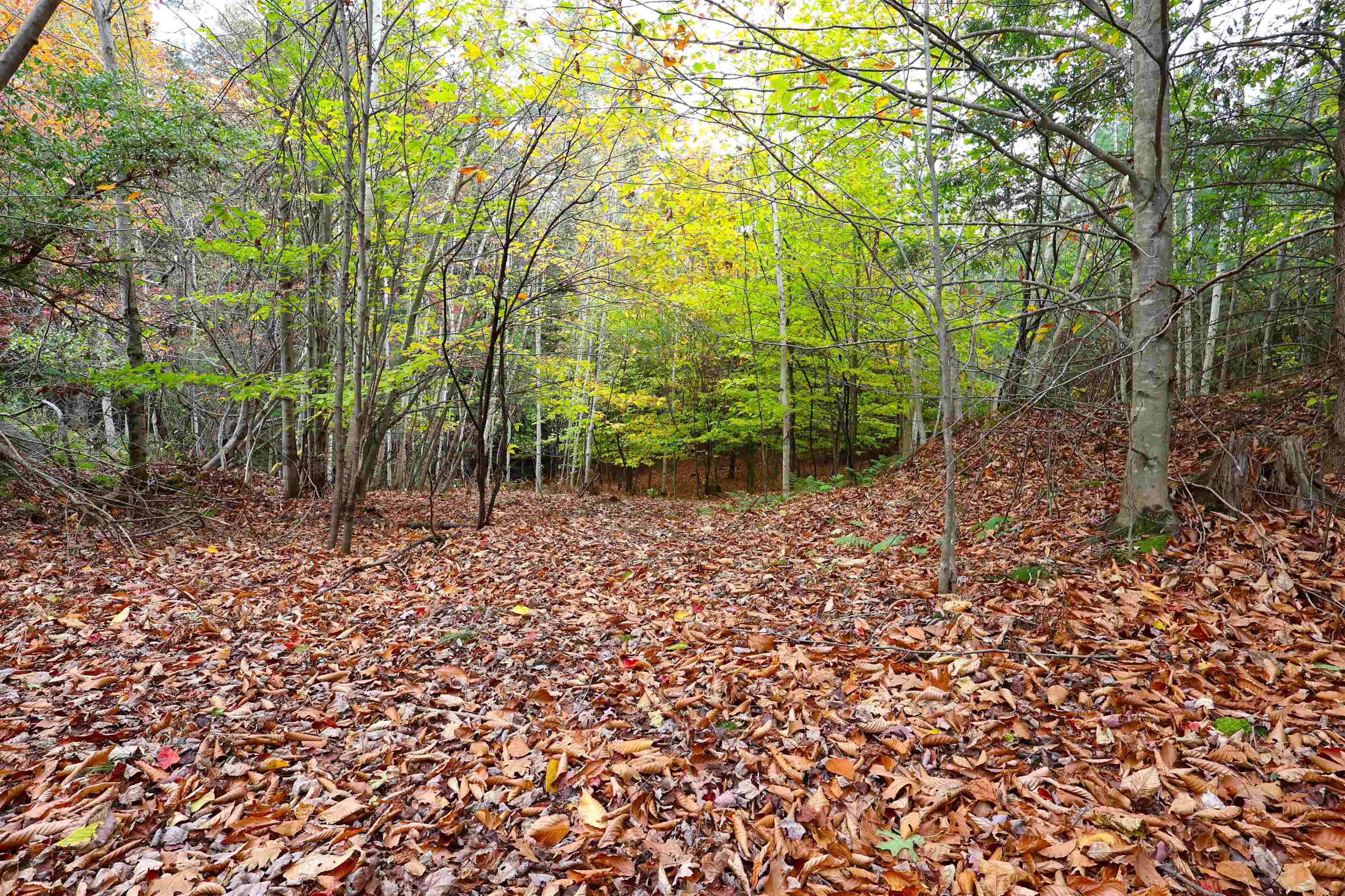 0 Christian Street White River Junction, VT 05001 - Photo 1 of 8