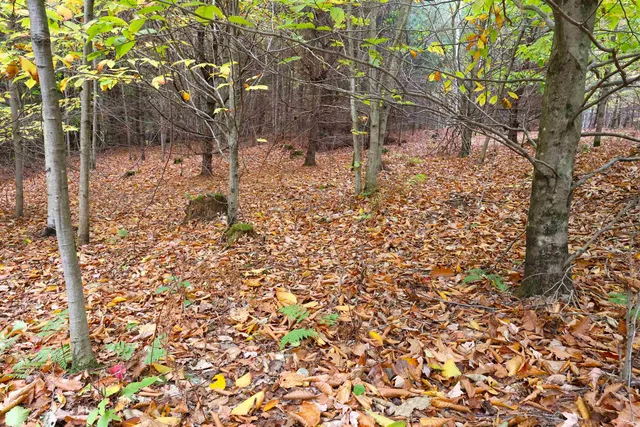 $248,000 | 0 Christian Street, White River Junction, VT 05001