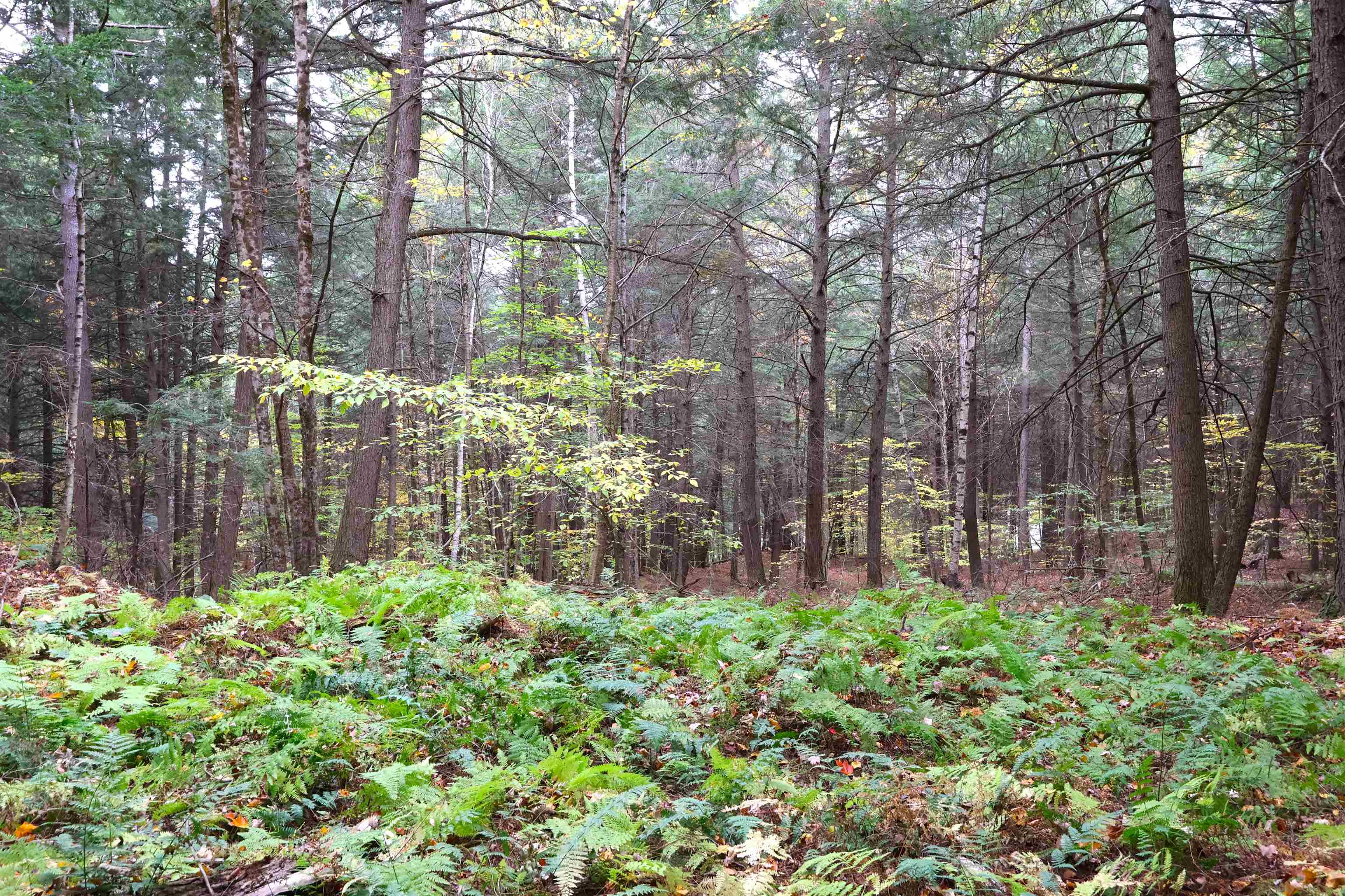 0 Christian Street White River Junction, VT 05001 - Photo 4 of 8