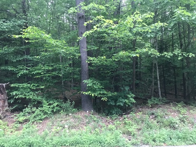 0 Christian Street White River Junction, VT 05001 - Photo 8 of 8