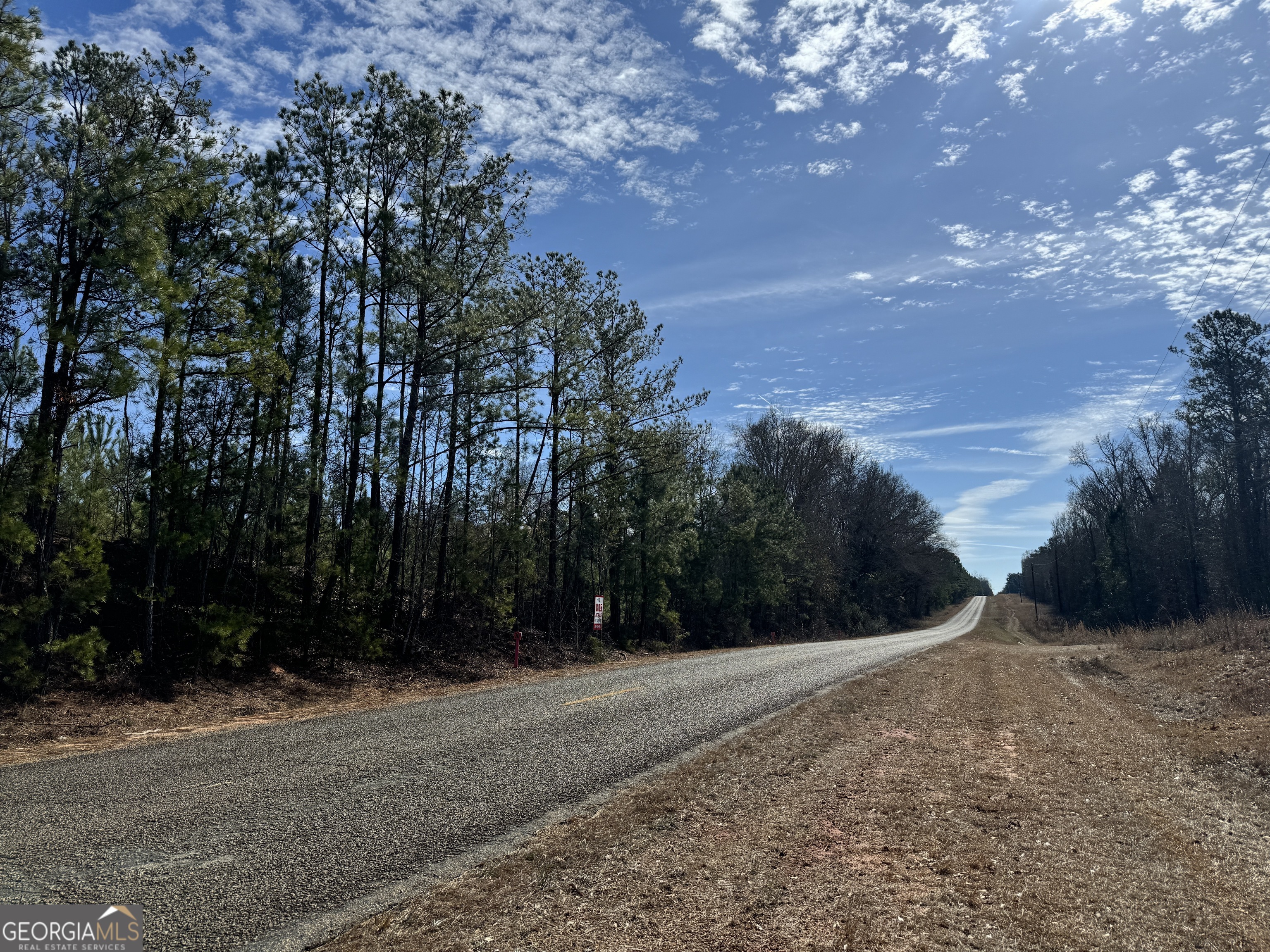 2 Dozier Road Ellaville, GA 31806 - Photo 1 of 1 Gallery Image 1
