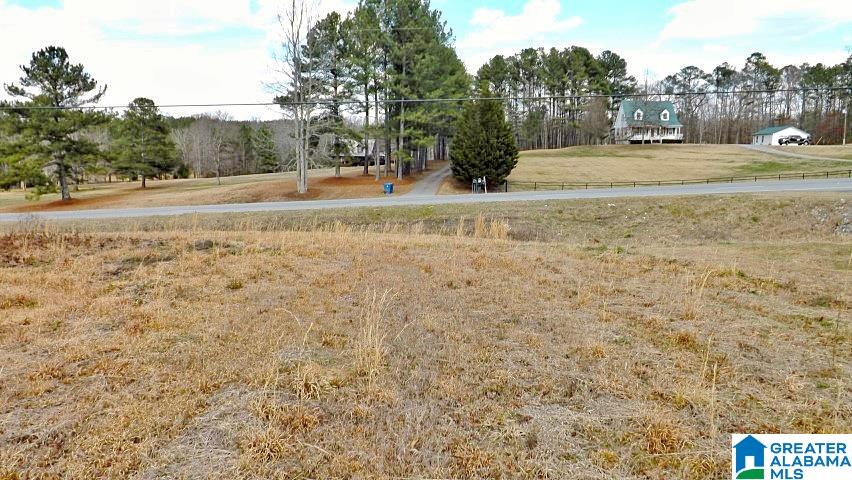 0 Highway 231, Unit 1 5 Oneonta, AL 35121 - Photo 8 of 23