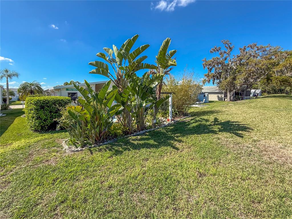 148 Nightingale Circle Ellenton, FL 34222 - Photo 35 of 47 a view of a yard with a tree