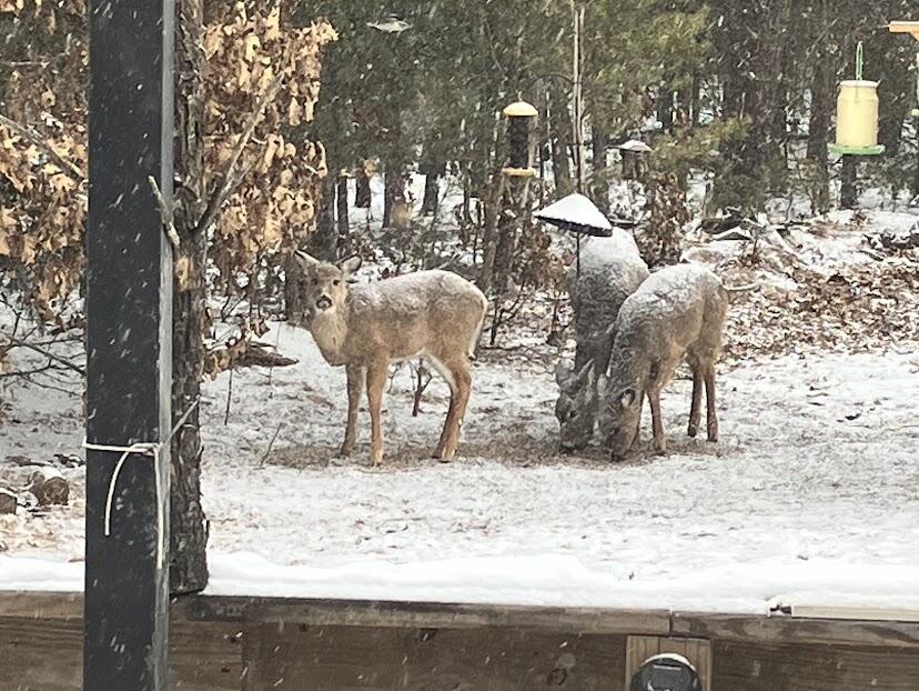 938 County Road, Unit C Hancock, WI 54943 - Photo 62 of 71 IMG_4923