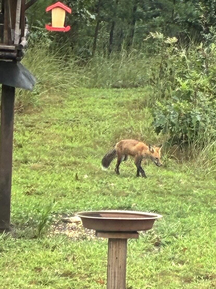 938 County Road, Unit C Hancock, WI 54943 - Photo 63 of 71 IMG_4926