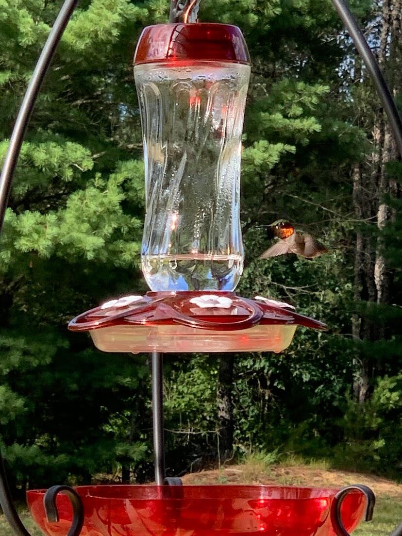 938 County Road, Unit C Hancock, WI 54943 - Photo 64 of 71 IMG_4916