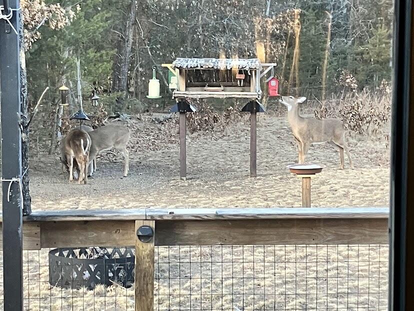 938 County Road, Unit C Hancock, WI 54943 - Photo 65 of 71 IMG_4921