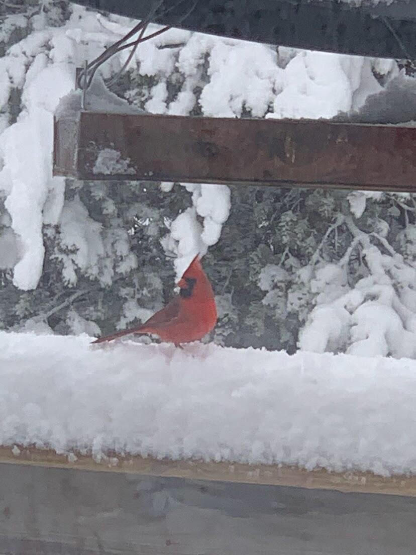 938 County Road, Unit C Hancock, WI 54943 - Photo 66 of 71 IMG_4917