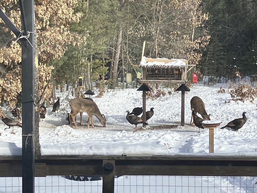 938 County Road, Unit C Hancock, WI 54943 - Photo 67 of 71 IMG_4924