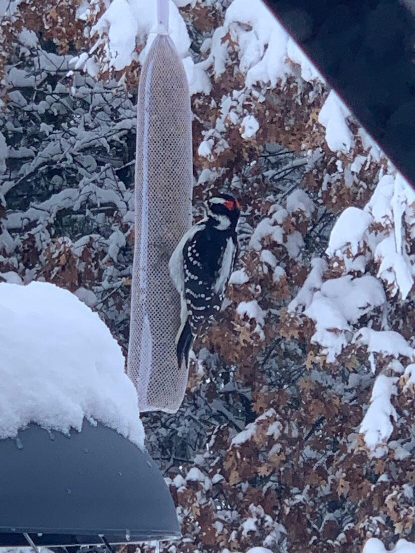 938 County Road, Unit C Hancock, WI 54943 - Photo 68 of 71 IMG_4918