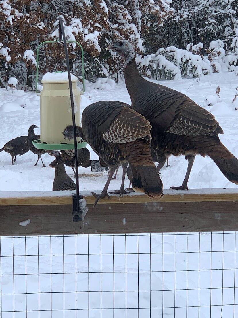 938 County Road, Unit C Hancock, WI 54943 - Photo 69 of 71 IMG_4919