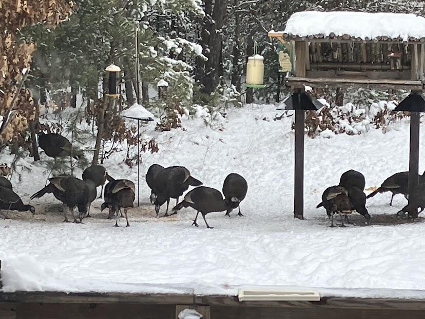 938 County Road, Unit C Hancock, WI 54943 - Photo 70 of 71 IMG_4920