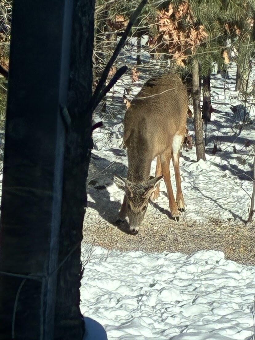 938 County Road, Unit C Hancock, WI 54943 - Photo 71 of 71 IMG_4927