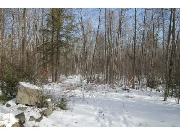 56 Quaker Road New Durham, NH 03855 - Photo 1 of 1