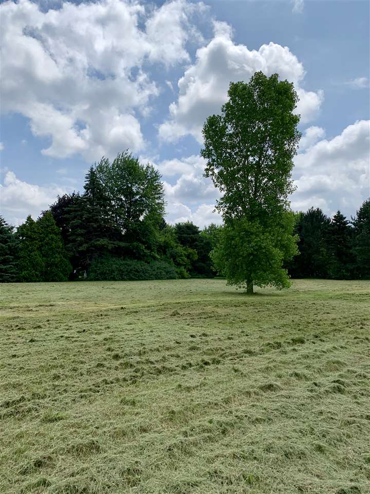 0 Corunna Road Swartz Creek, MI 48473 - Photo 2 of 7