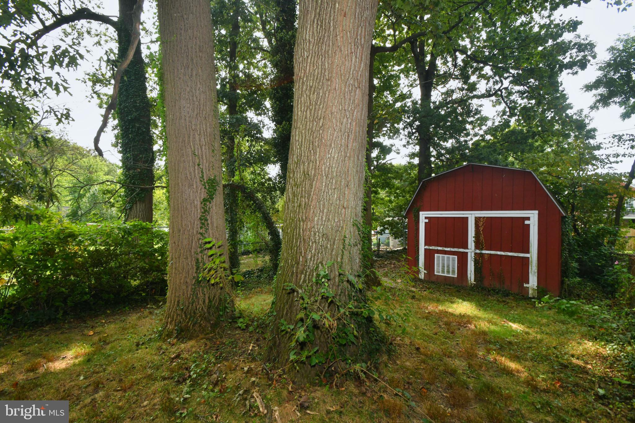 1605 Mussula Road Baltimore, MD 21286 - Photo 35 of 37 Backyard/ Detached Garage/Storage Shed