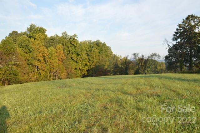 225 Racetrack Road, Unit L Campobello, SC 29322 - Photo 5 of 6 a view of field with trees in background