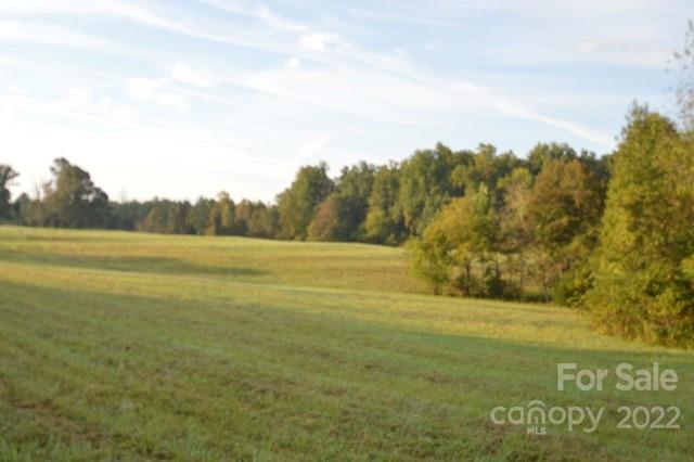 225 Racetrack Road, Unit L Campobello, SC 29322 - Photo 6 of 6 a view of beach and yard