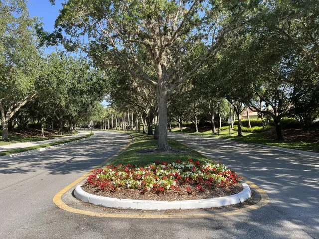 a view of a fountain in the middle of a yard