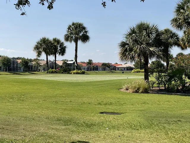 a view of an ocean with a big yard and palm trees