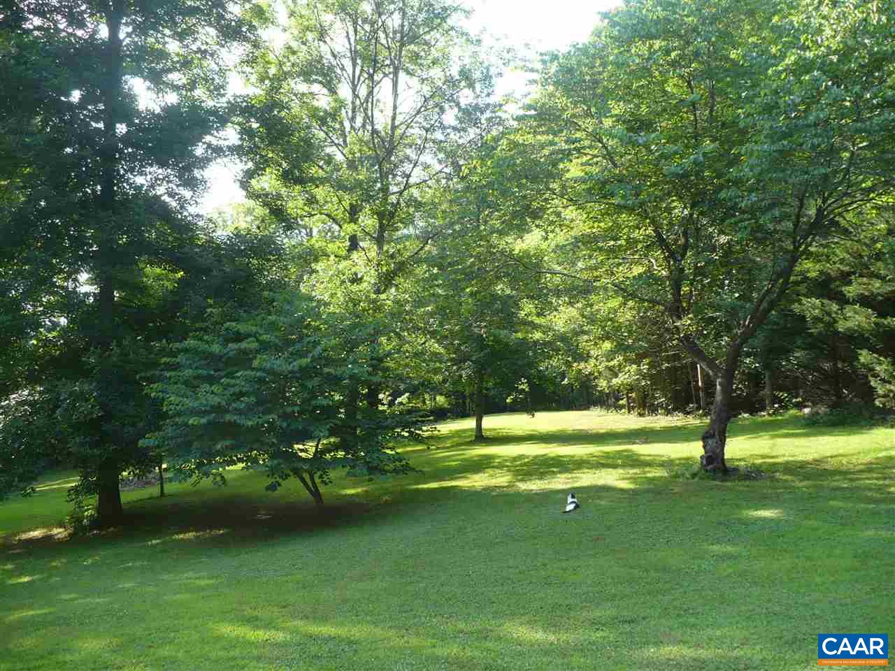 4193 Celt Road Stanardsville, VA 22973 - Photo 3 of 35 a view of field with trees in background