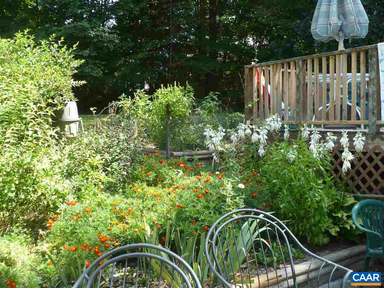 4193 Celt Road Stanardsville, VA 22973 - Photo 10 of 35 a view of a backyard with plants
