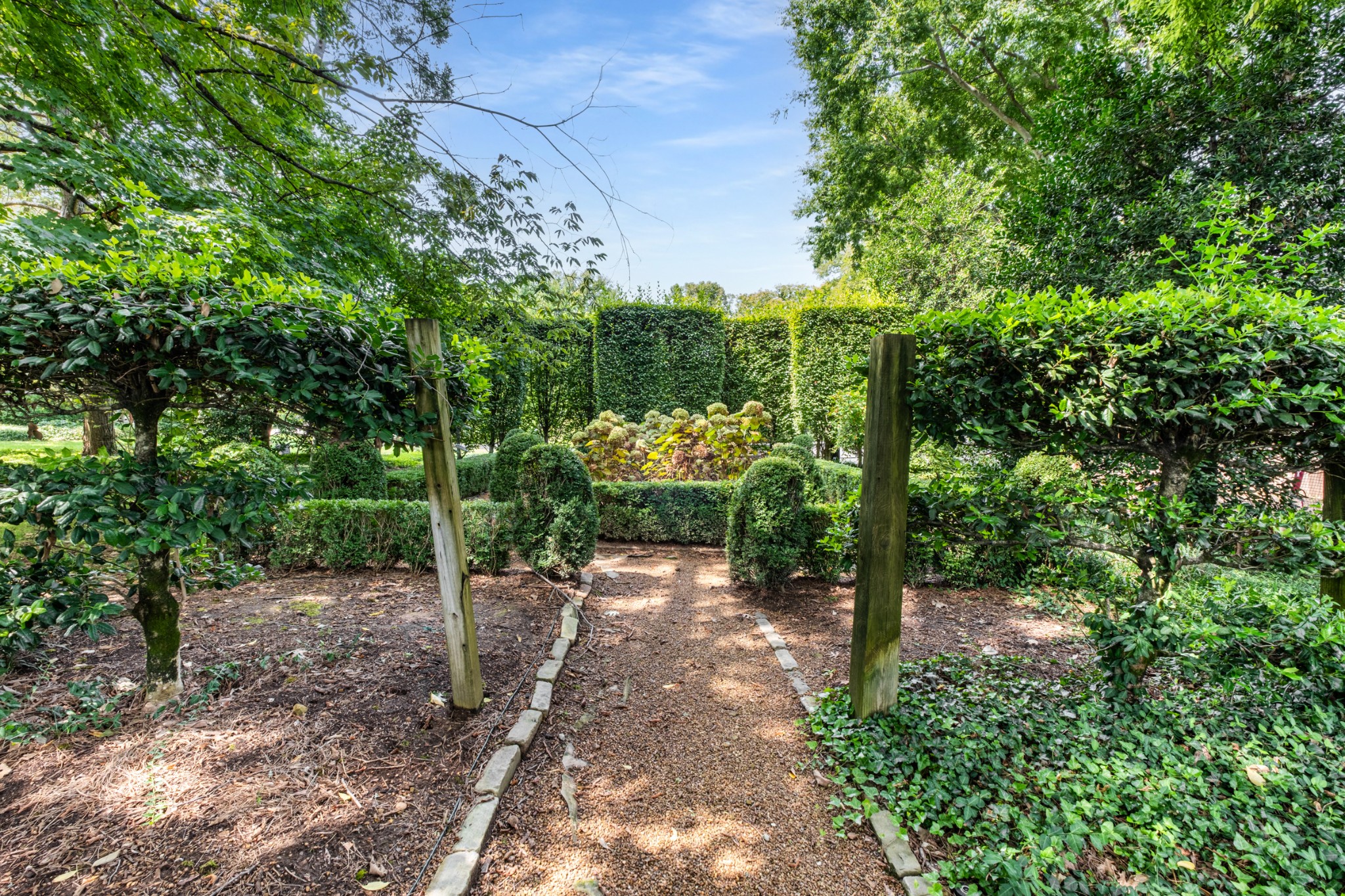 3800 Woodlawn Drive Nashville, TN 37215 - Photo 40 of 43 a pathway of a yard