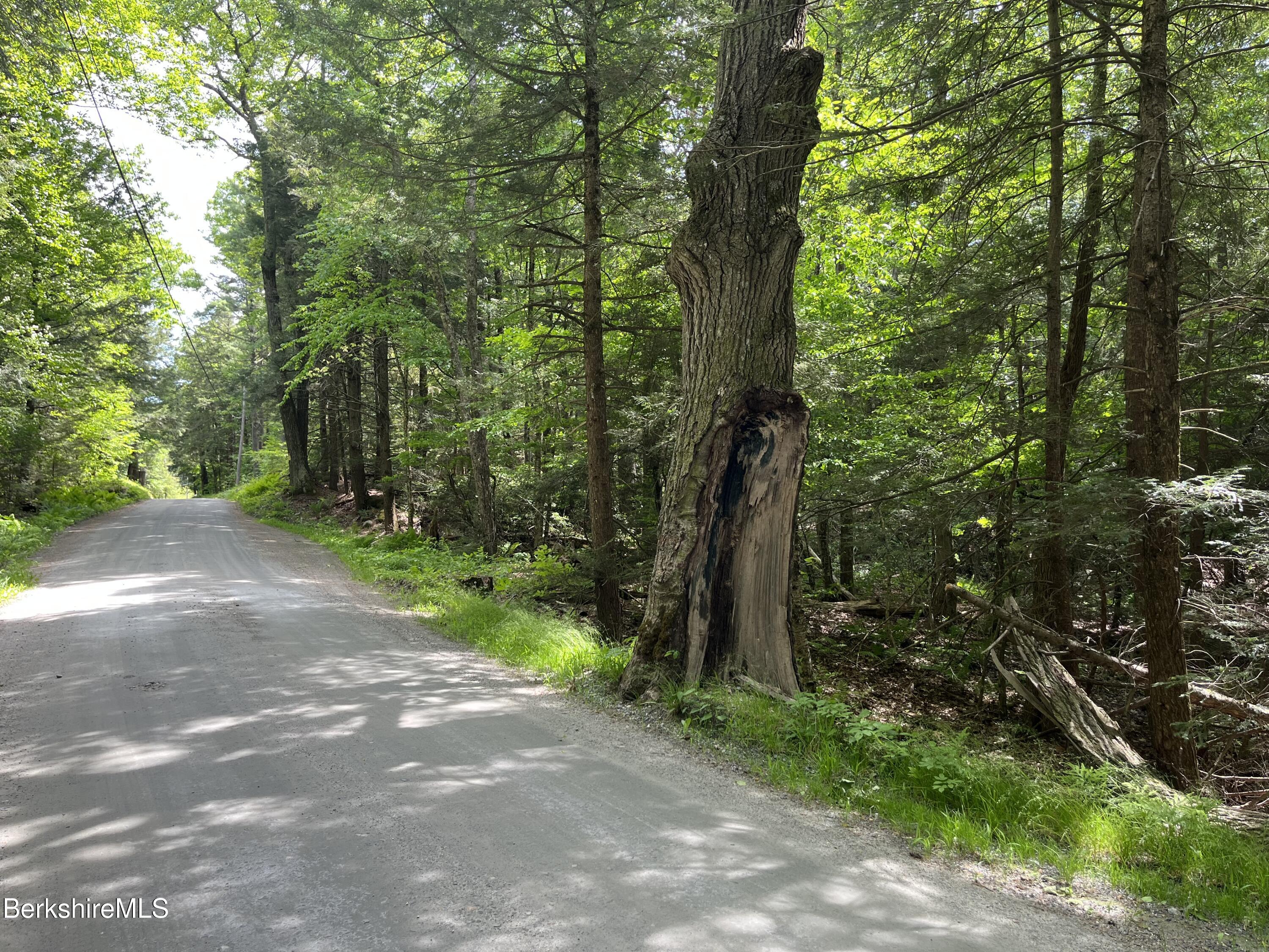 Lot 84 Churchill Road East Otis, MA 01029 - Photo 11 of 18 L 84 J