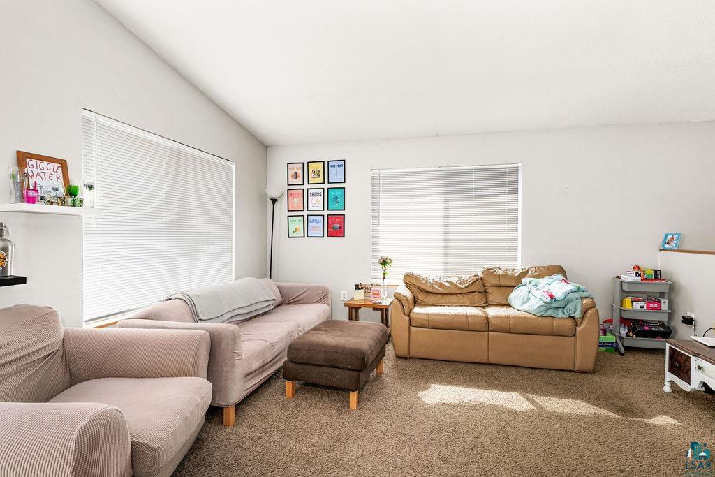 2425 Vermilion Road Duluth, MN 55803 - Photo 5 of 26