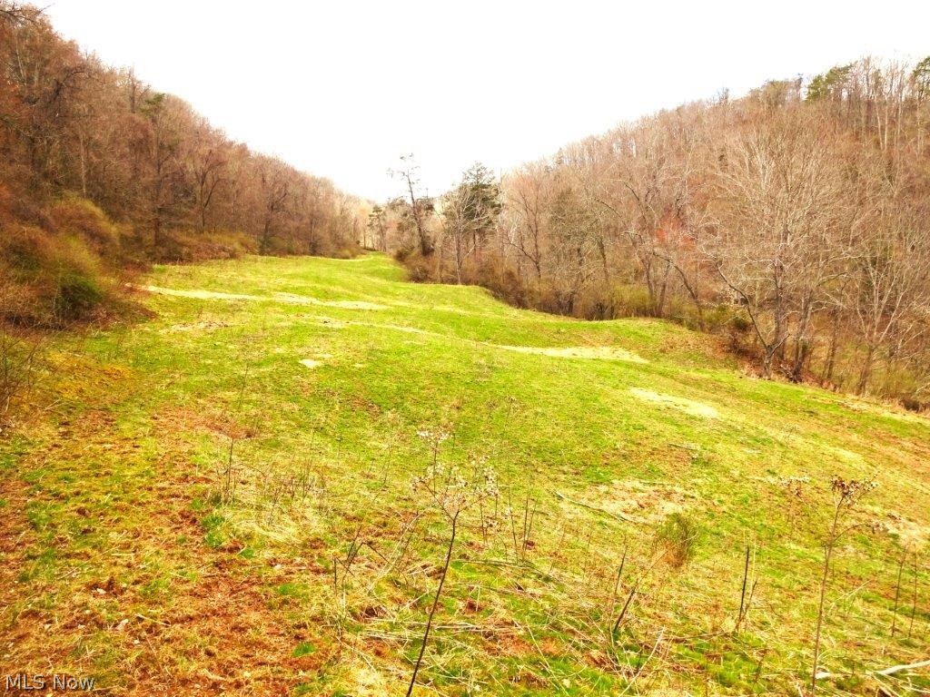 3265 Parkersburg Road Reedy, WV 25270 - Photo 19 of 28