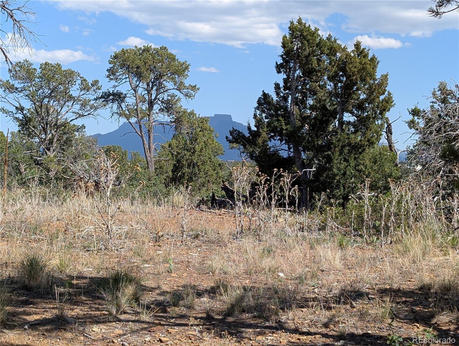 Fishers Peak Ranch Trinidad, CO 81082 - Photo 13 of 34