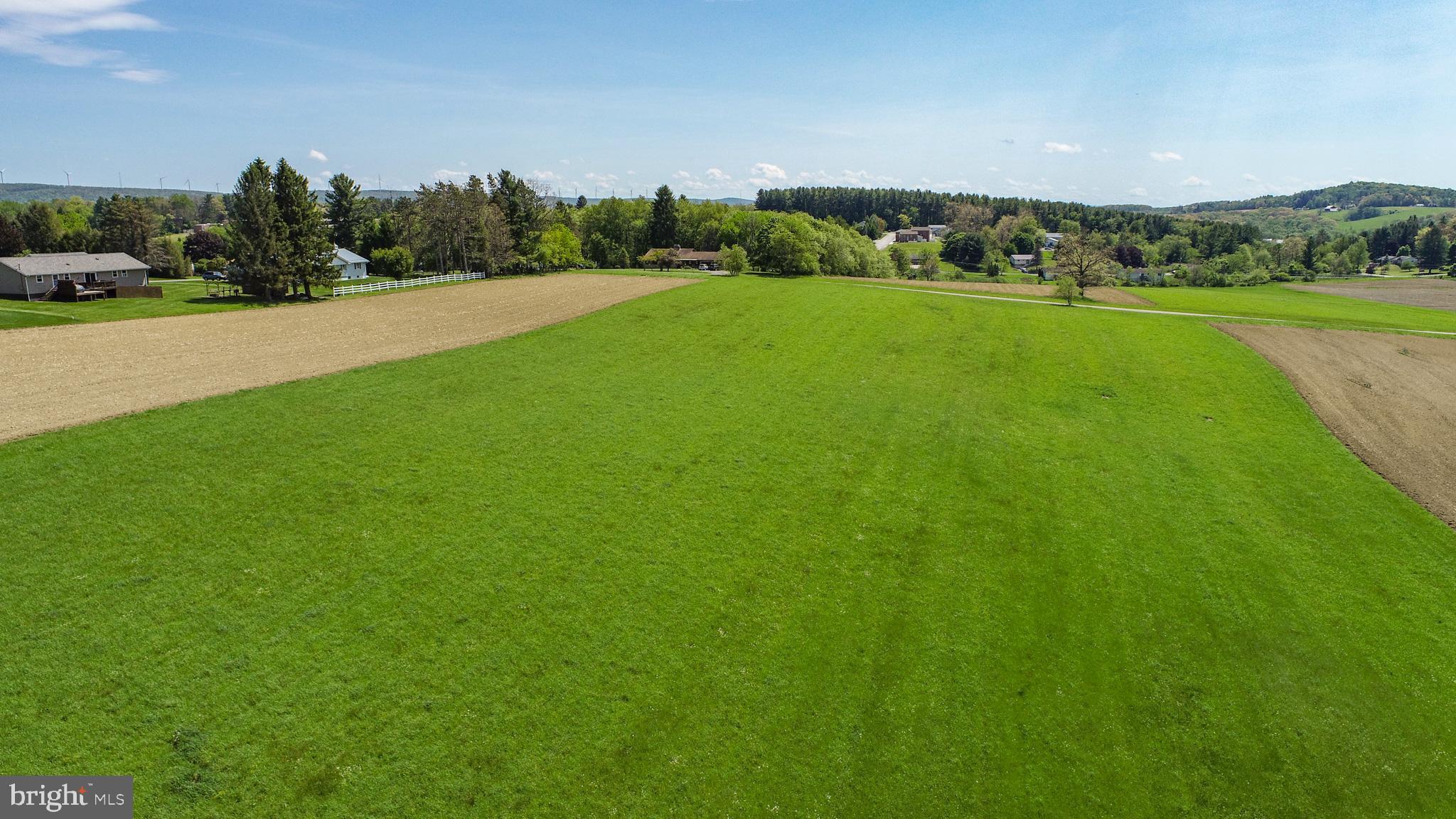 9.75-ac Dennett Road Oakland, MD 21550 - Photo 26 of 30 a view of grassy field with mountain