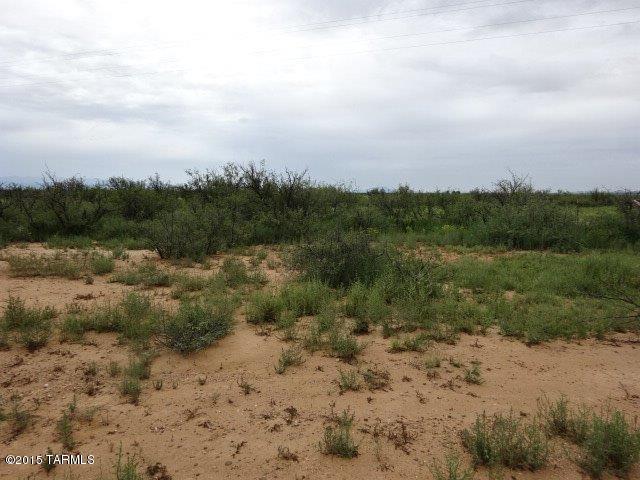0 East Arzberger Road, Unit 162 Willcox, AZ 85643 - Photo 6 of 9