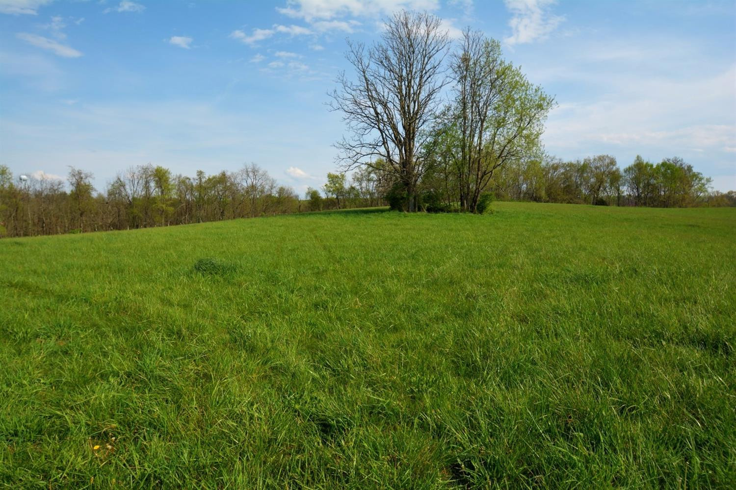 3595 Fords Mill Road Versailles, KY 40383 - Photo 5 of 10 Photo 5