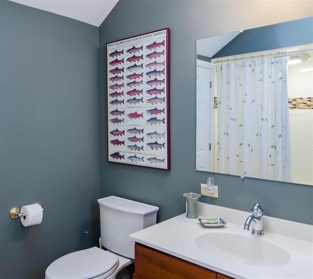 255 Royal Tyler Road Hartford, VT 05059 - Photo 20 of 25 Gallery Image 20