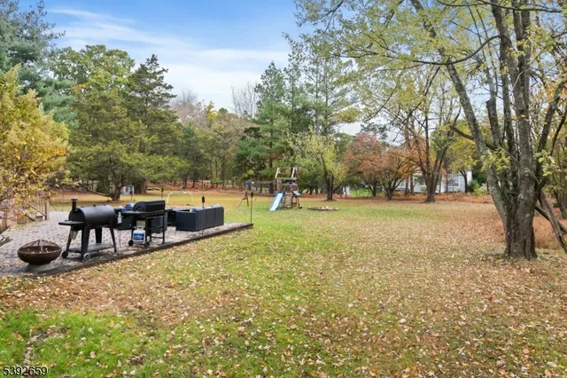 a view of a tree in a yard