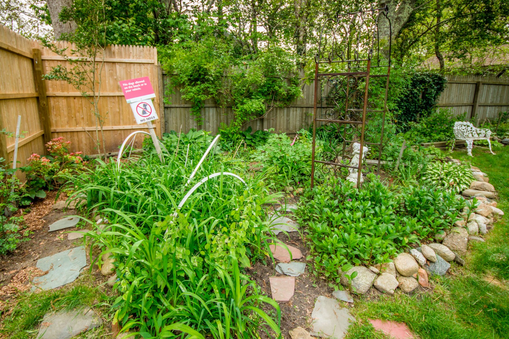 60 Pinehurst Road Edgartown, MA 02539 - Photo 25 of 25 a view of a garden with plants and a bench