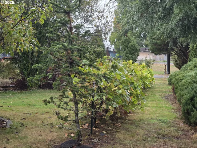 a backyard of a house with table and chairs